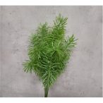 Rozmaring bokor - Zöld