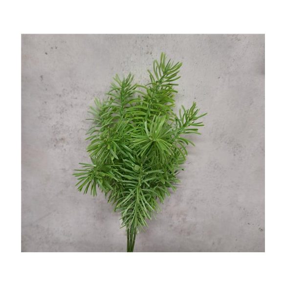 Rozmaring bokor - Zöld