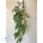 Eukaliptusz futó 90cm