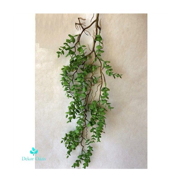 Eukaliptusz futó 90cm