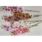 Orchidea 57 cm - Több színben