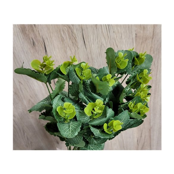 Menta bokor 4 ágú 50cm