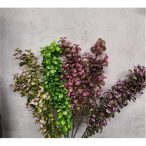 Műanyag Festett ág  65cm - Több színben