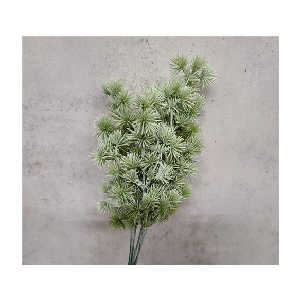 Bogáncs bokor x5 35cm - Hamvas zöld