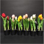   Tulipán gumi bimbós 25cm - Több színben (műanyag cserépben)
