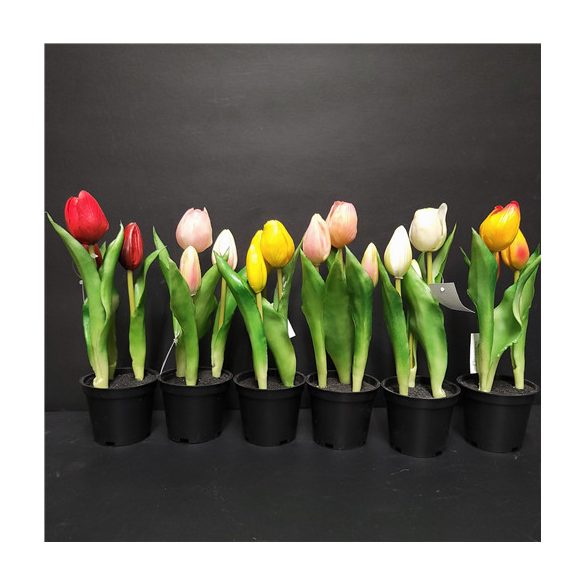 Tulipán gumi bimbós 25cm - Több színben (műanyag cserépben)