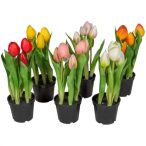   Tulipán gumi bimbós 25cm x5 - Több színben (műanyag cserépben)