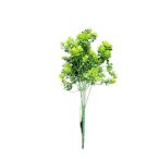 Varjúháj bokor 5ágú 34cm - Zöld