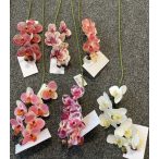 Orchidea 70cm - Több színben