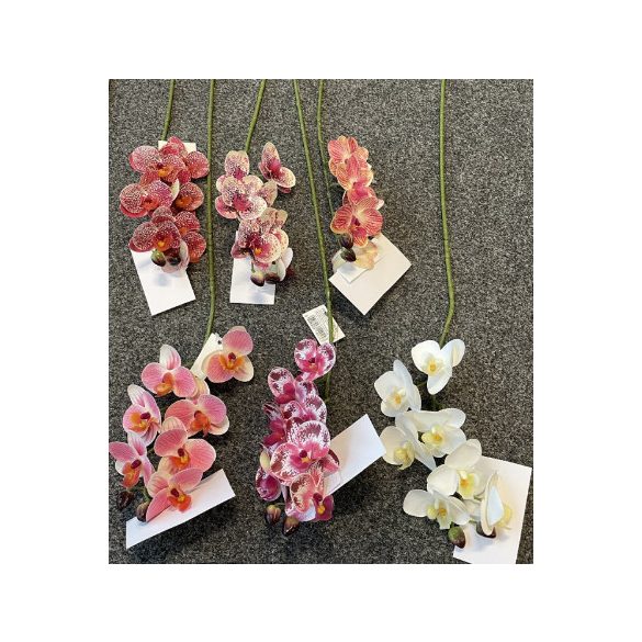 Orchidea 70cm - Több színben