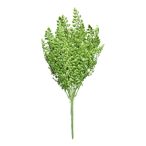Petrezselyem bokor x7 45cm