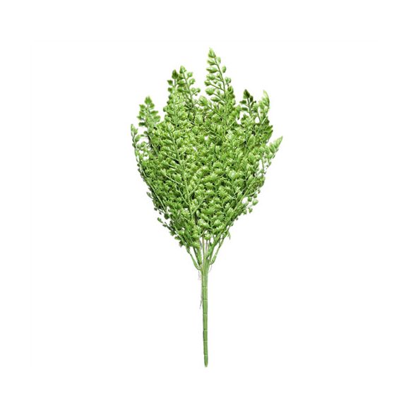 Petrezselyem bokor x7 45cm