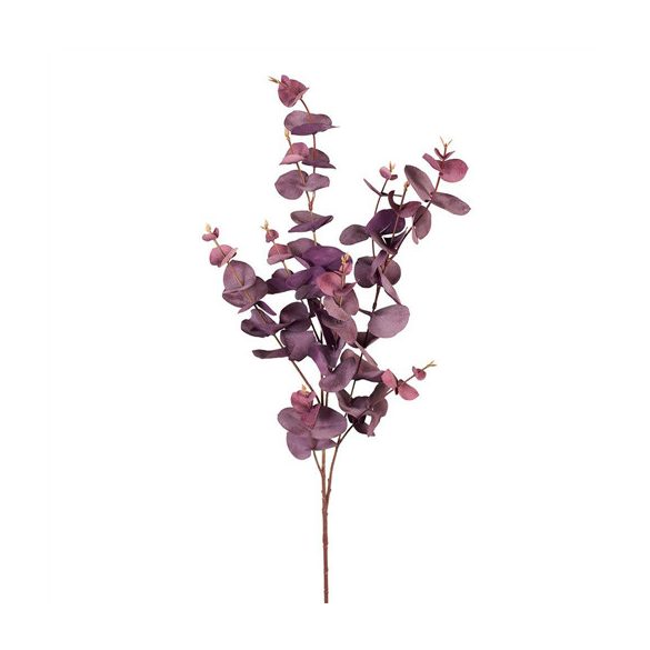 Eucalyptus szál - Burgund