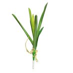 Orchidea Cymbidium levél x6 38cm