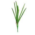 Orchidea Cymbidium levél x9 55cm