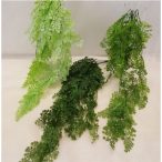 Futó petrezselyem 80cm - 3 színben