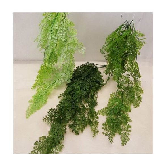 Futó petrezselyem 80cm - 3 színben