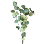 Eukaliptuszág 80cm