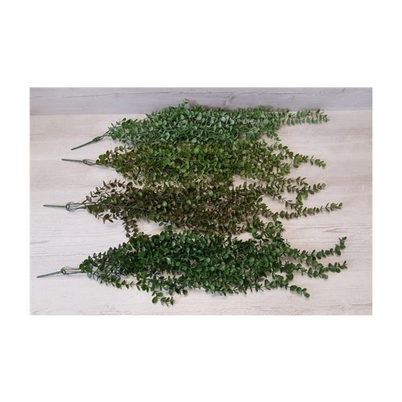 Eukalyptus futó 78 cm - 4 féle
