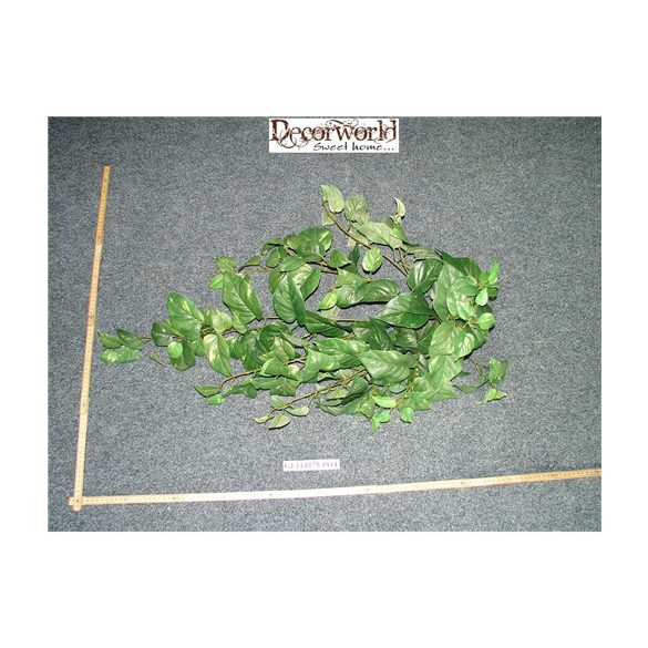 borostyán futó cirmos levelű 162levél