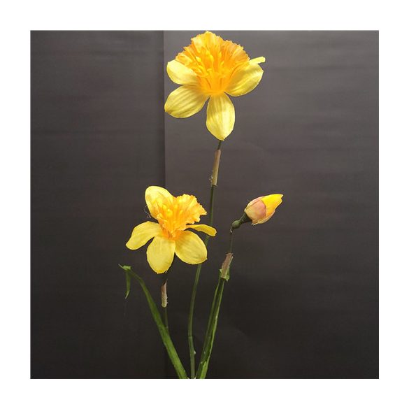 Szép nárcisz 2 fej+1 bimbó 60cm - Sárga