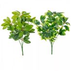 Schefflera bokor 41cm - 2színben
