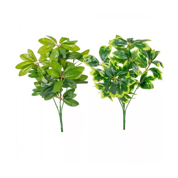 Schefflera bokor 41cm - 2színben