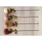 Peónia szál 60cm - 4 színben