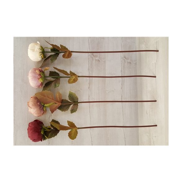 Peónia szál 60cm - 4 színben