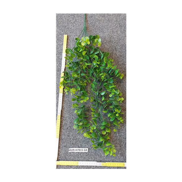 Eukaliptusz futó 80 cm
