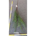 Asparagus ág műanyag 3ág 100 cm