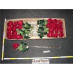 Szép bársony bimbós rózsa