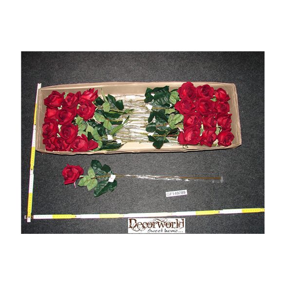 Szép bársony bimbós rózsa