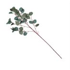 Pénzlevél ág 93cm