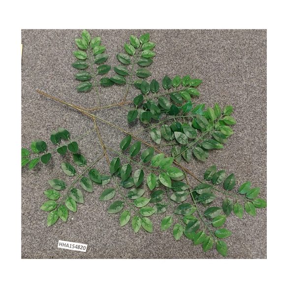 Akácfa ág leveles 65 cm