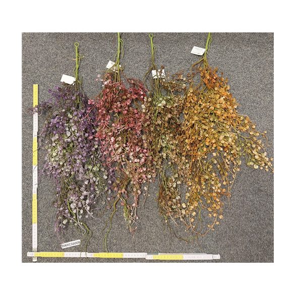 Kerek levelű futó 82cm - 4 színben