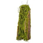 Mohás fa kéreg 38cm