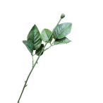 Rózsa szár élethű