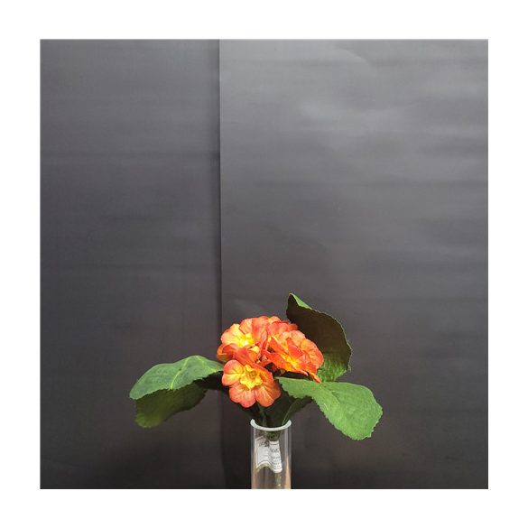 Kis primula csokor 20cm - Narancssárga