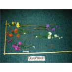 9 mezei virágos műa. szálas