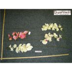 Orchidea ág gumi 9virág