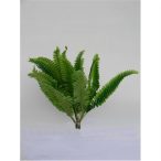 Páfrány 18 szálas