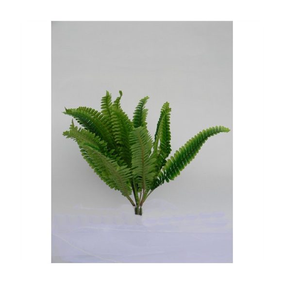 Páfrány 18 szálas