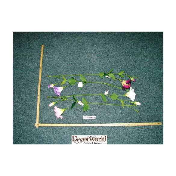 Szép lyziantus szál