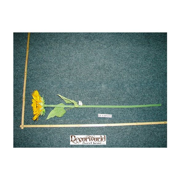 Óriás szálas napraforgó