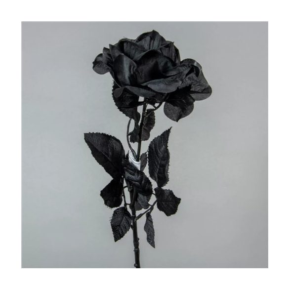 Rózsa szálas 65cm - Fekete