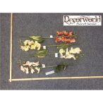 Gumi phalaenopsis orchidea - Több színben (Akciós)