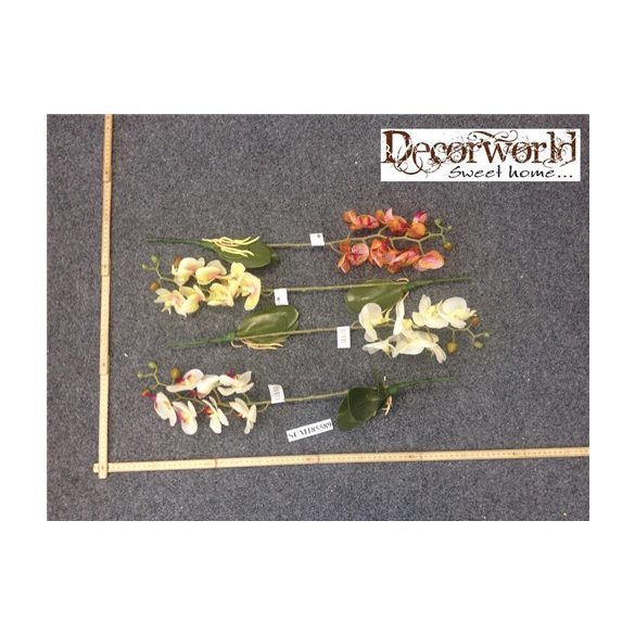 Gumi phalaenopsis orchidea - Több színben (Akciós)