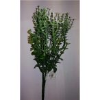 Eukaliptusz bokor műa.  5 szálas