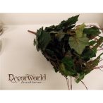 Szőlőleveles bokor